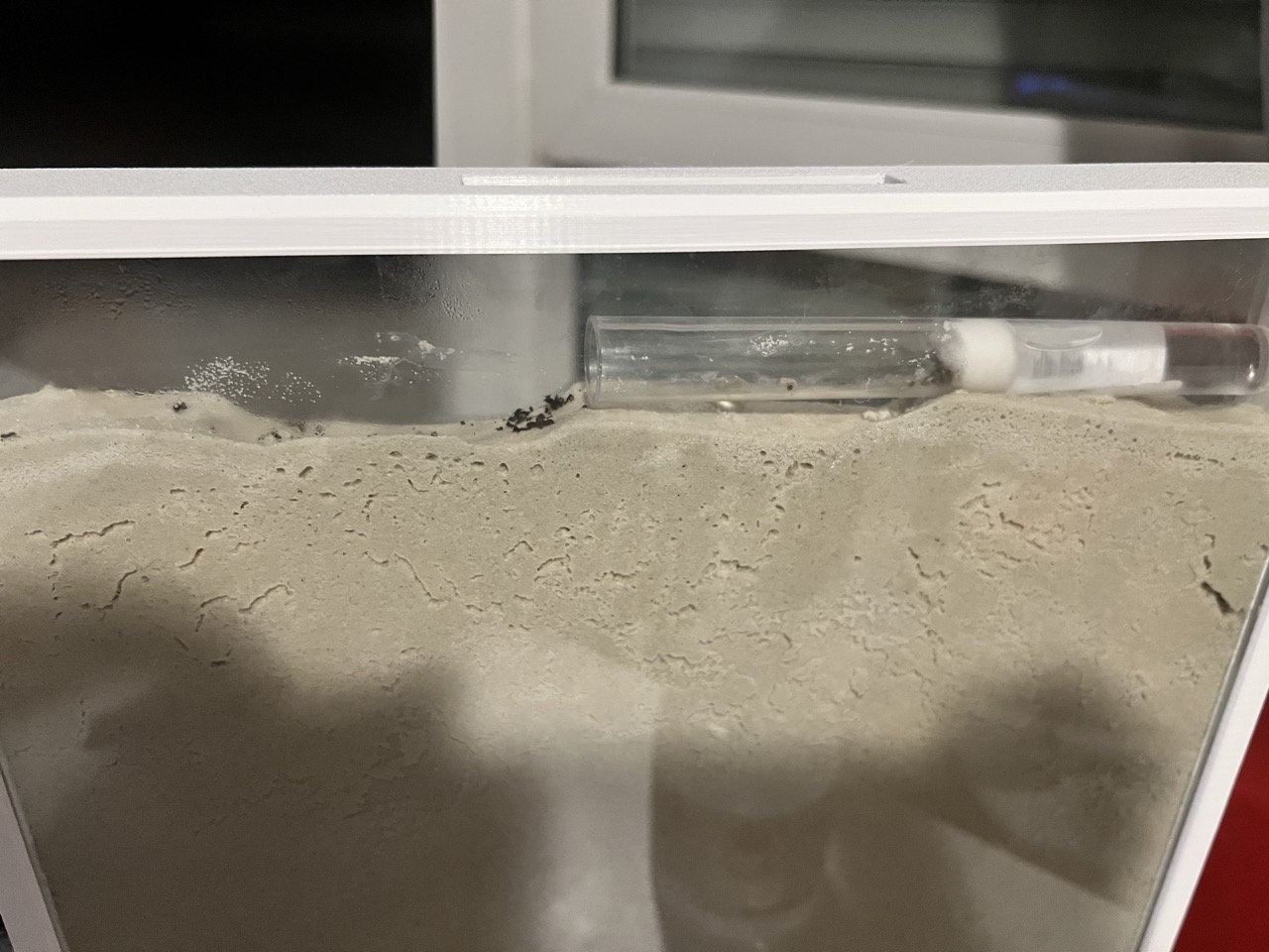 Ants nest setup